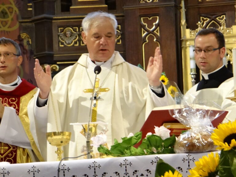 Archbishop Muller saying a Novus Ordo Mass.