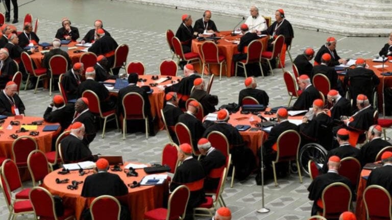 Vatican Synodal Gathering