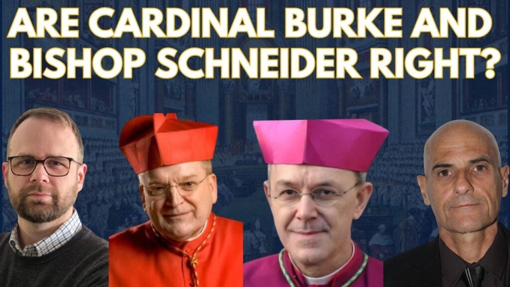 Cardinal Burke, Bishop Schneider